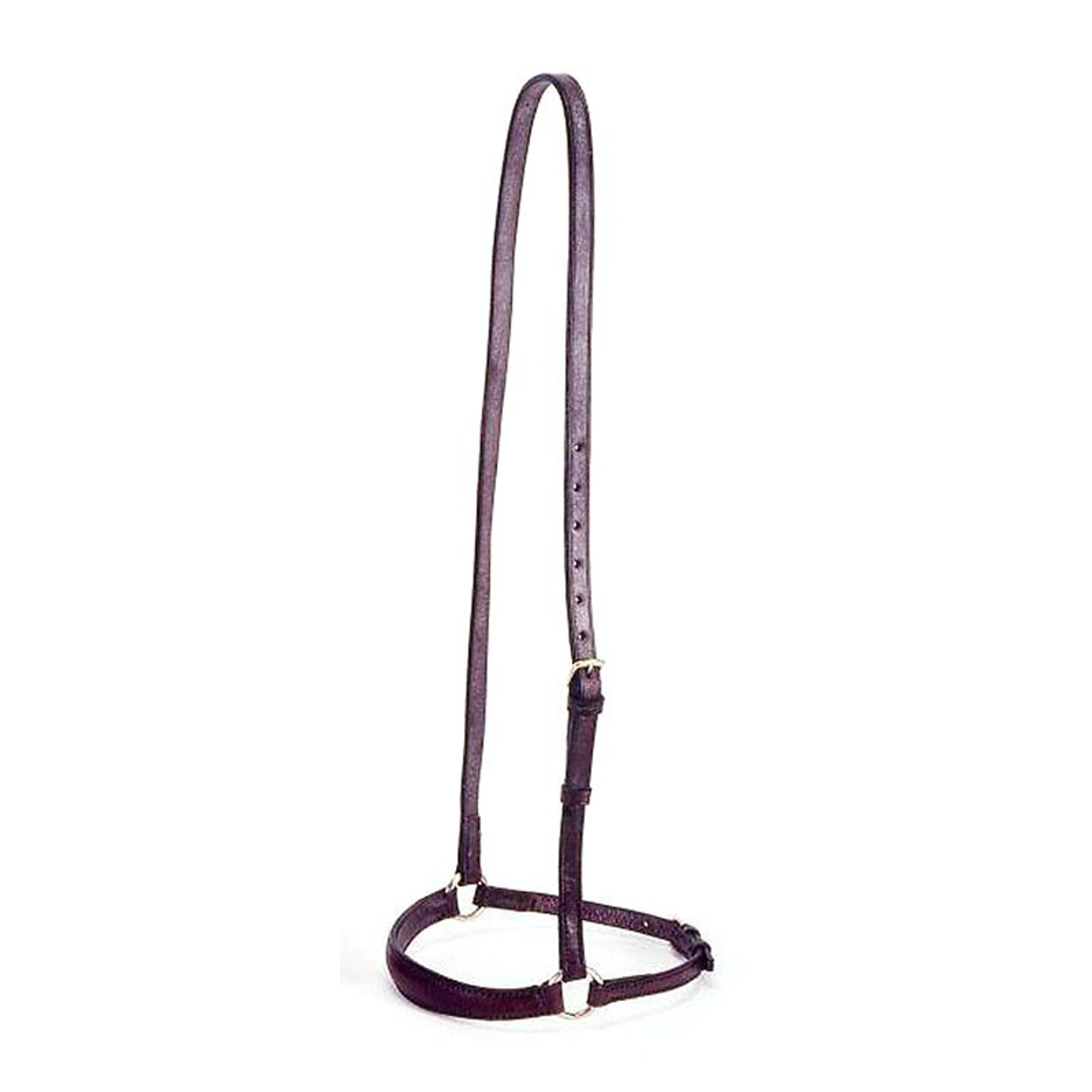 Silver Fox Olympic Dropped Noseband Brown
