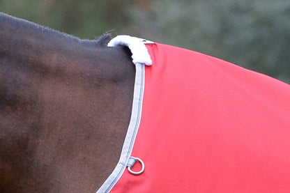 TE047070_RDS_06.jpg
