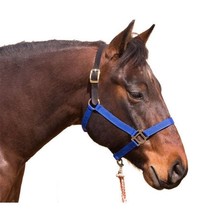 Intrepid Poly Breakaway Halter