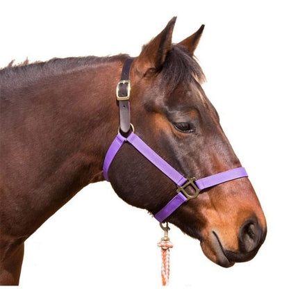Intrepid Poly Breakaway Halter
