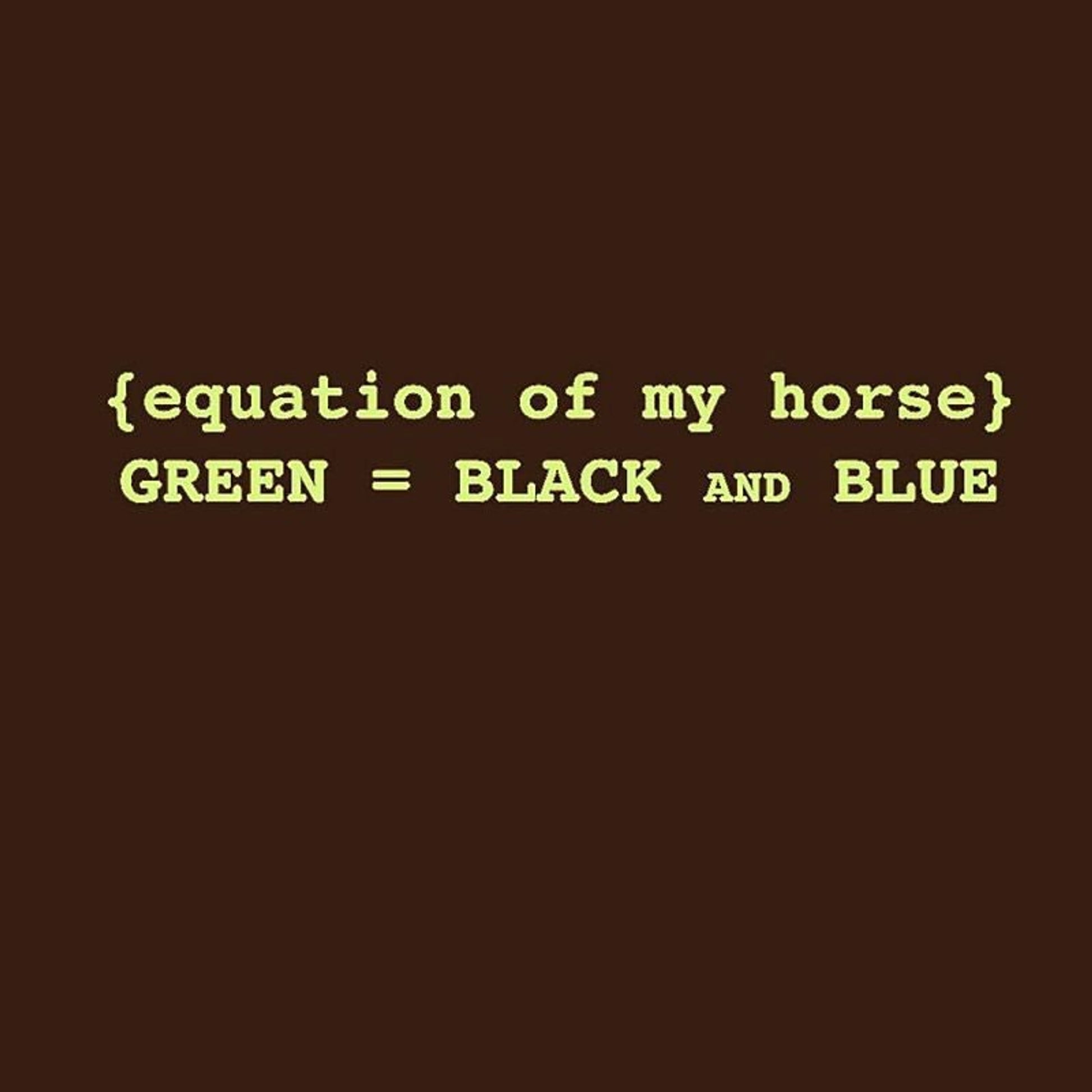Sound Equine Ladies Equation Of My Horse Tee Shirt