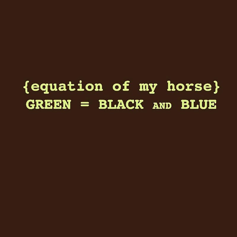 Sound Equine Ladies Equation Of My Horse Tee Shirt