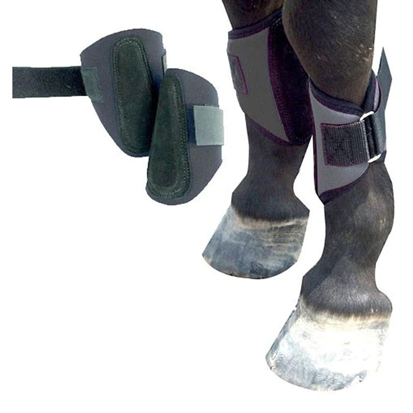TE047398.jpg