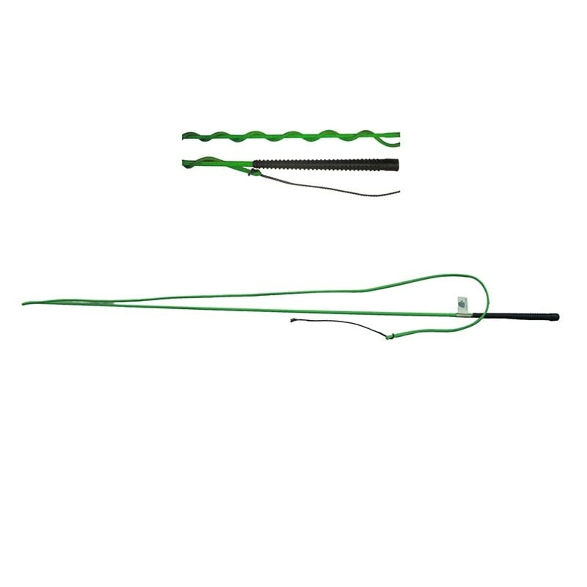 Lunge Whip 5.5ft