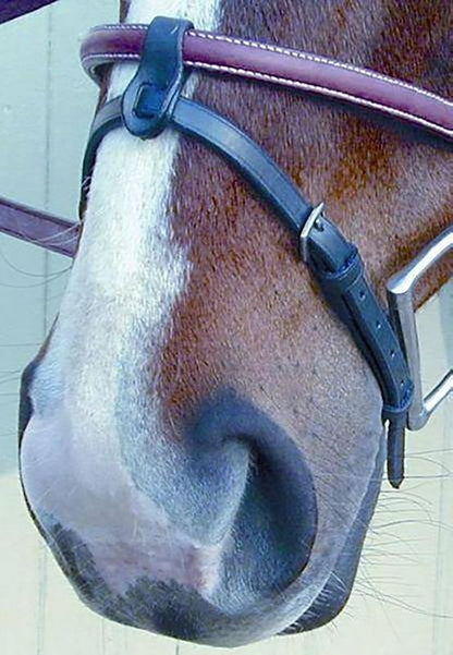TE047563_747762_01.jpg
