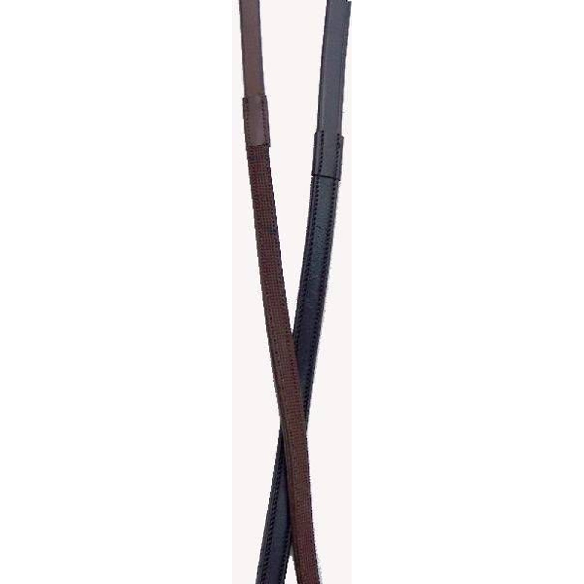 TE047637.jpg
