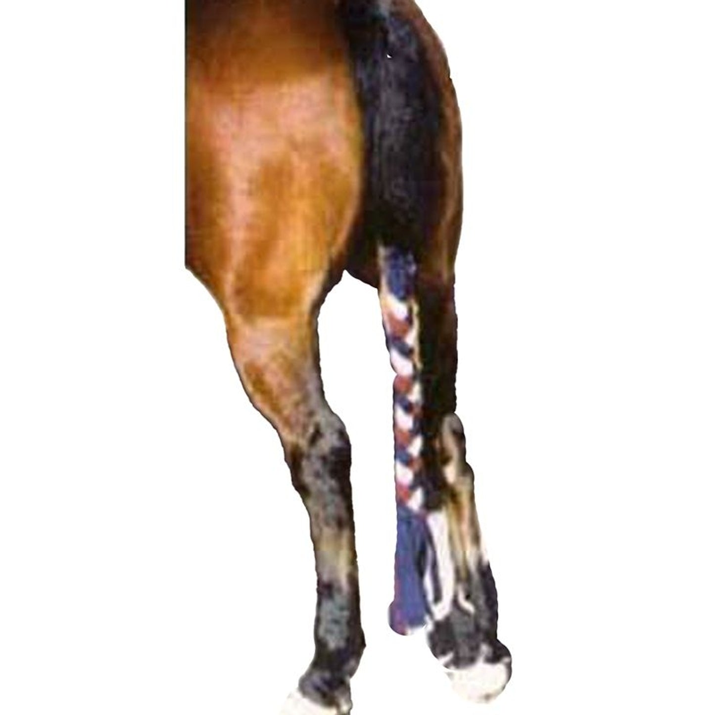 TE047699_741251.jpg