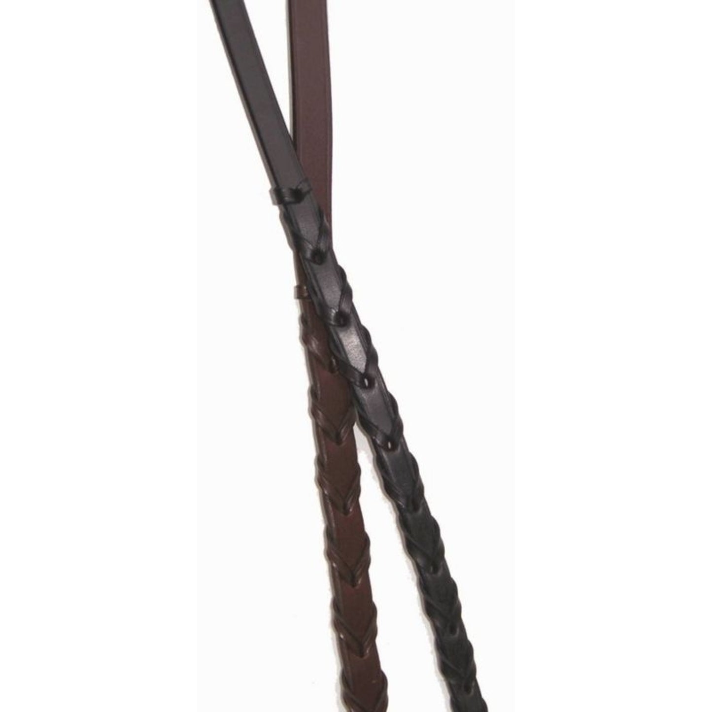 TE047711.jpg