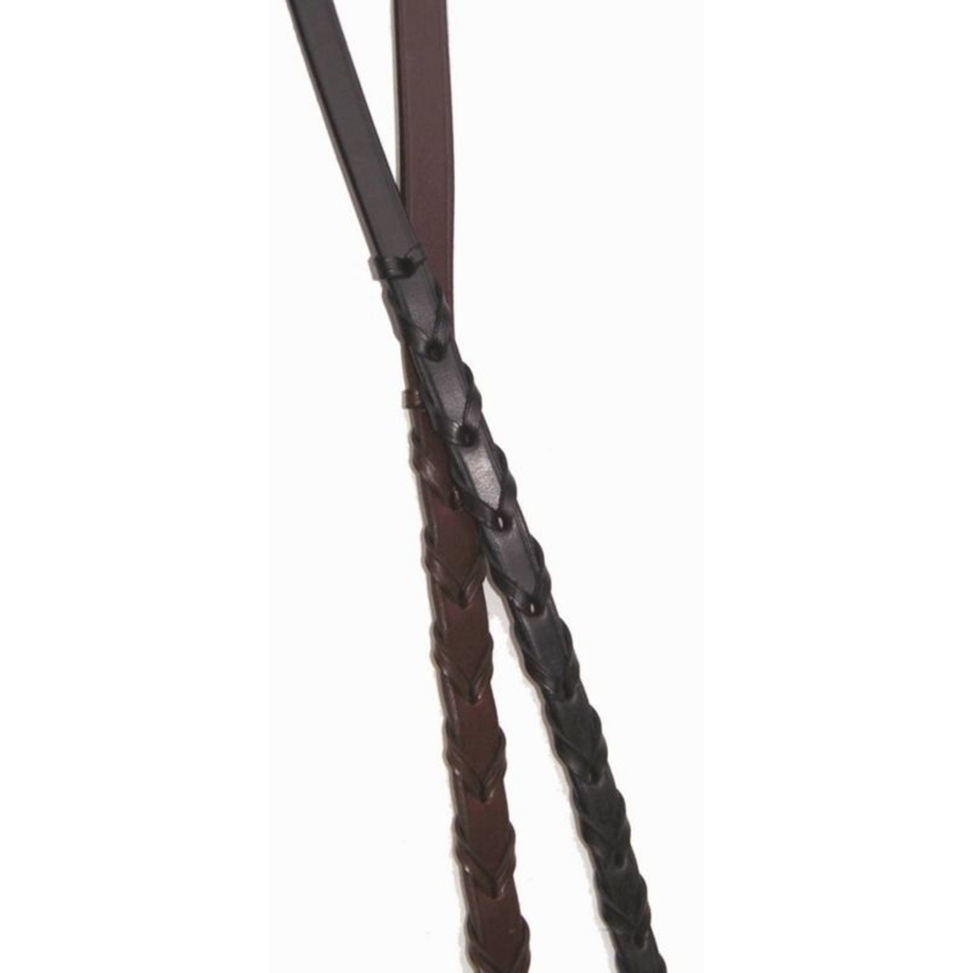 TE047711.jpg