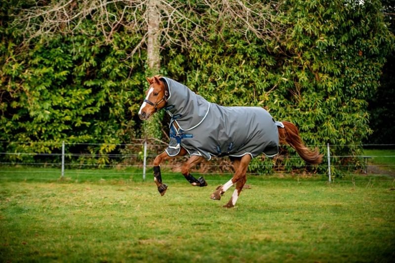 Amigo Bravo 12 Plus 400g Pony