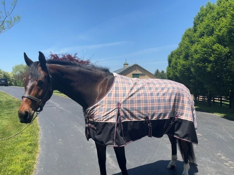 TuffRider 1200D Comfy Plaid TO 200g