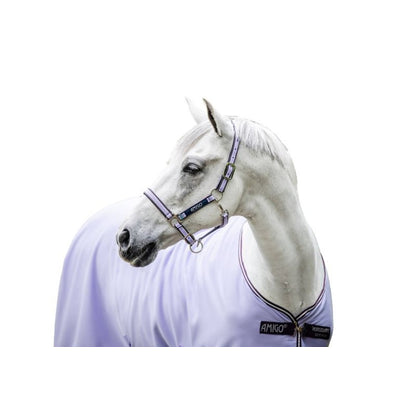 Amigo Headcollar Cob Navy/Silver