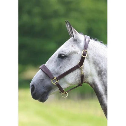 Shires Travel Headcollar
