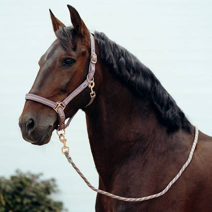 TE048445_LPP_01.jpg