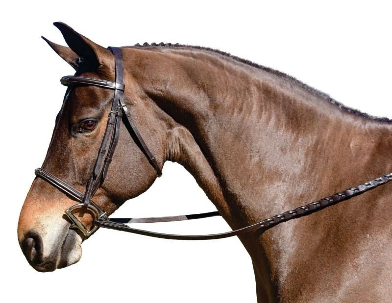 Flex Rider Raised Snaffle Bridle