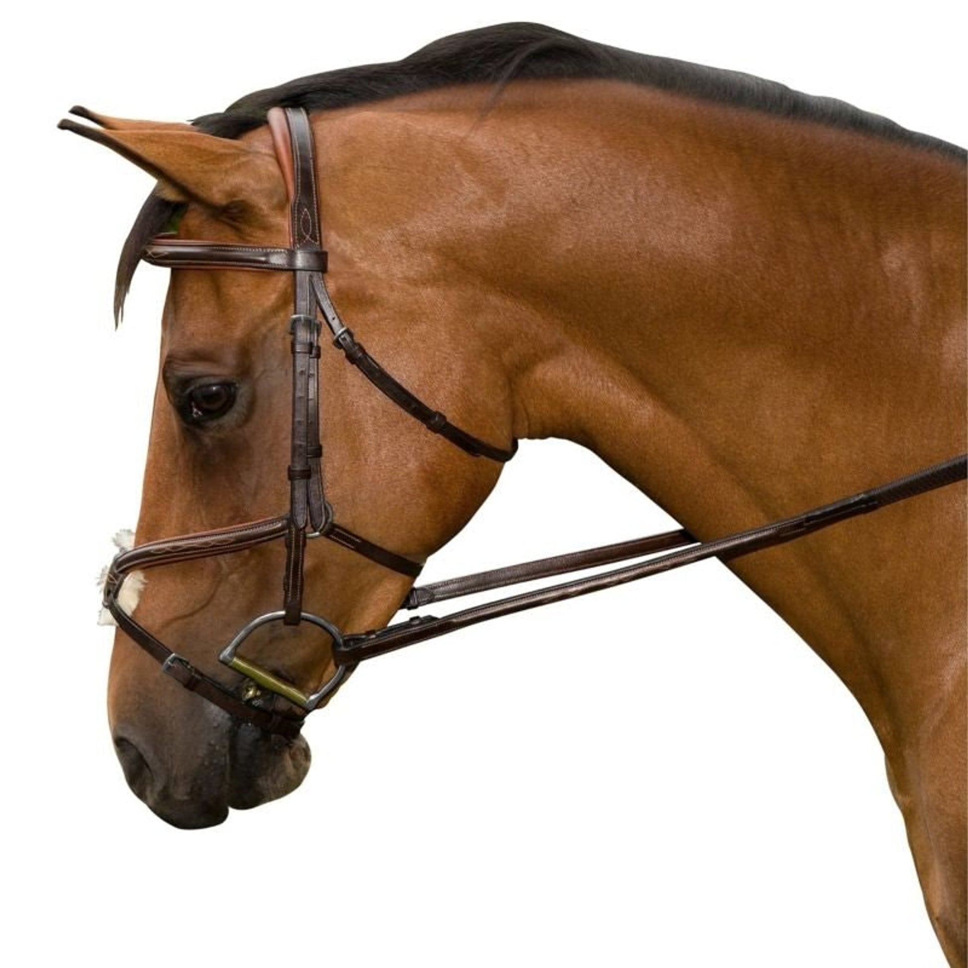 M. Toulouse Jumper Bridle