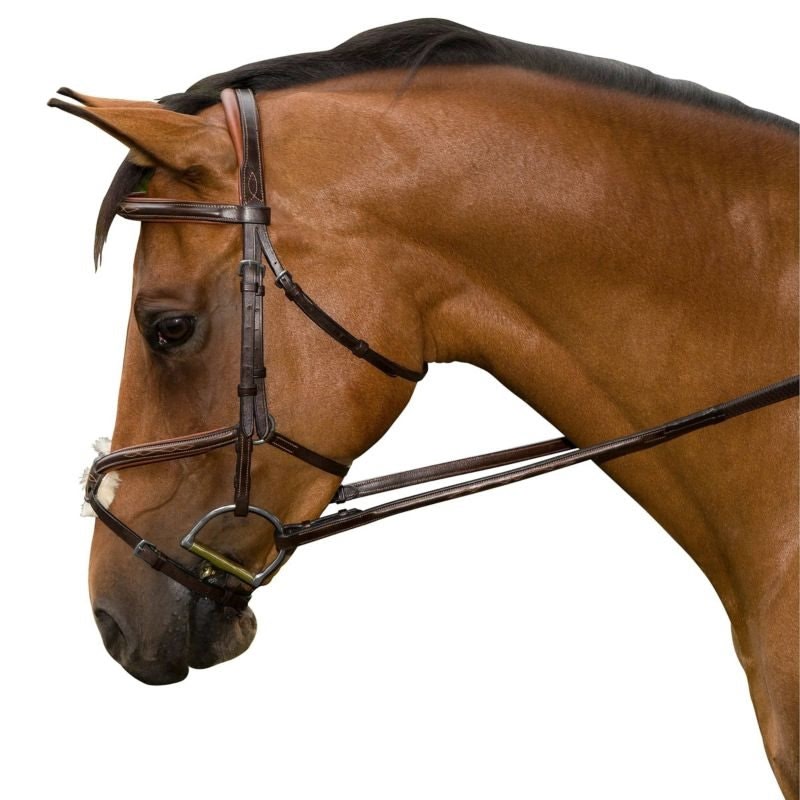 M. Toulouse Jumper Bridle