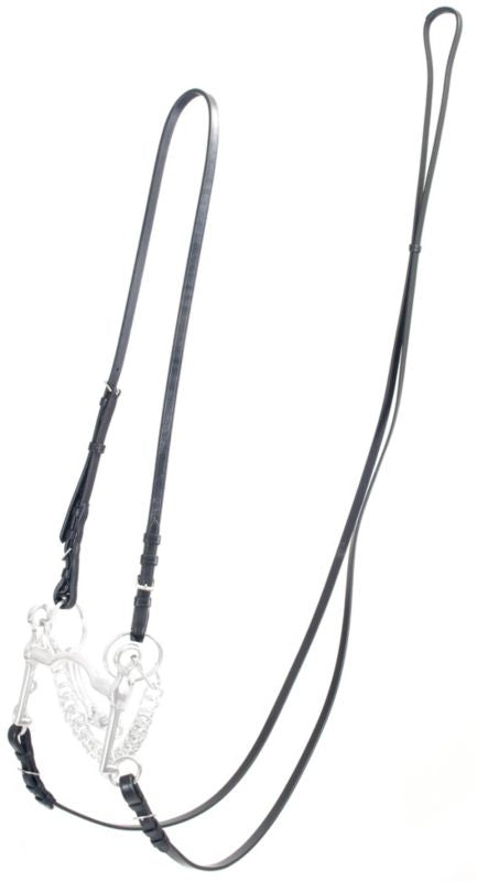 M. Toulouse Curb/Bradoon Convo Buckle