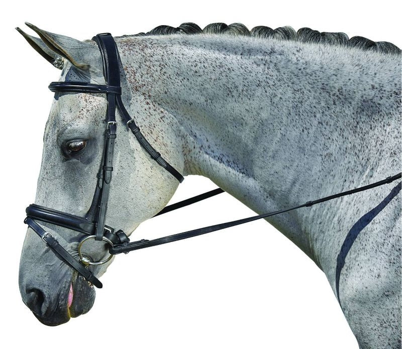 M. Toulouse Elite Dressage Bridle