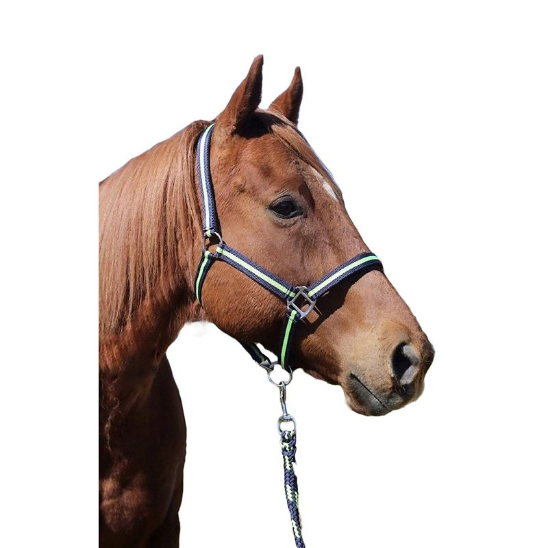 TuffRider Nylon Breakaway Halter & Lead Set