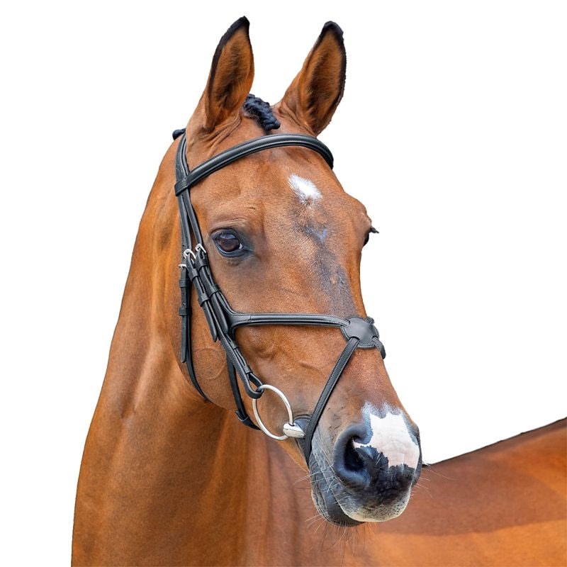 Shires Velociti Lusso Grackle Bridle