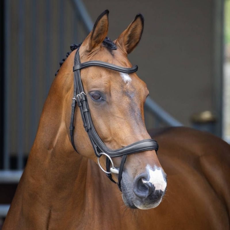 Shires Velociti Bridle