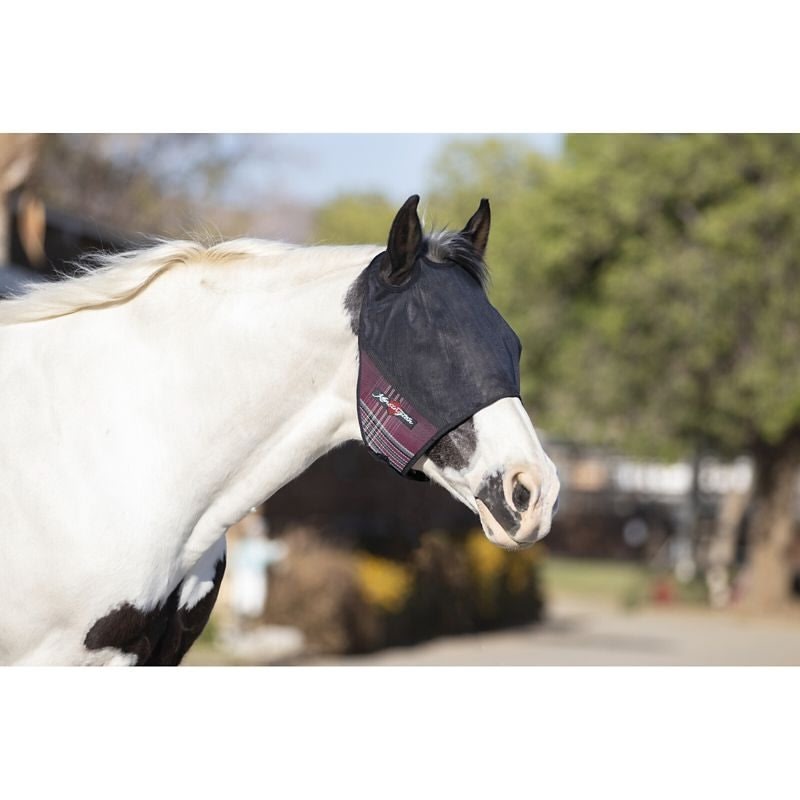 Kensington UV CatchMask Web Trim