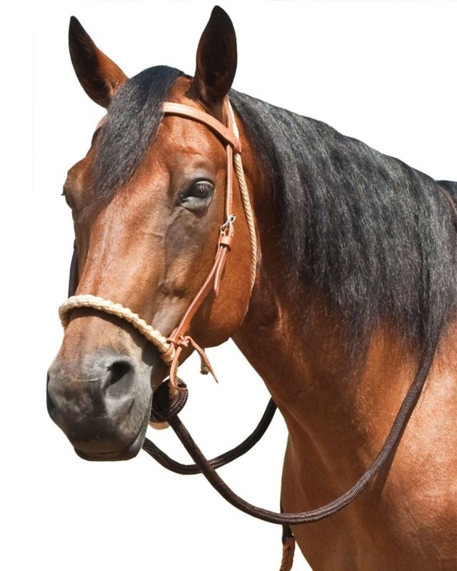 Mustang Harness Leather Breaking Hackamore