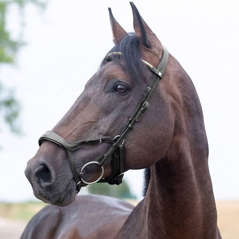 Horze Stewart Anatomical Bridle