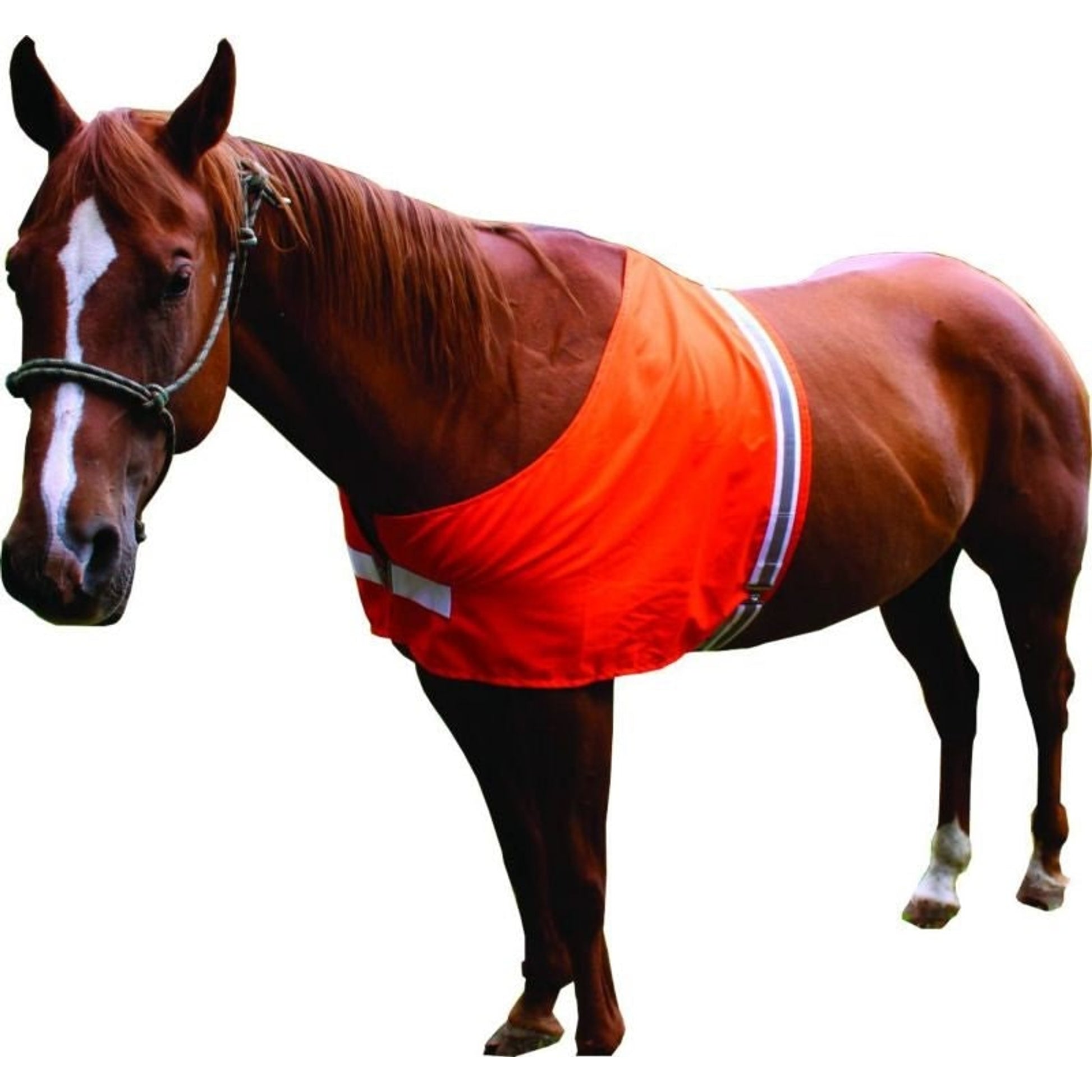 Dog Not Gone Safety Horse Vest Orange Pony