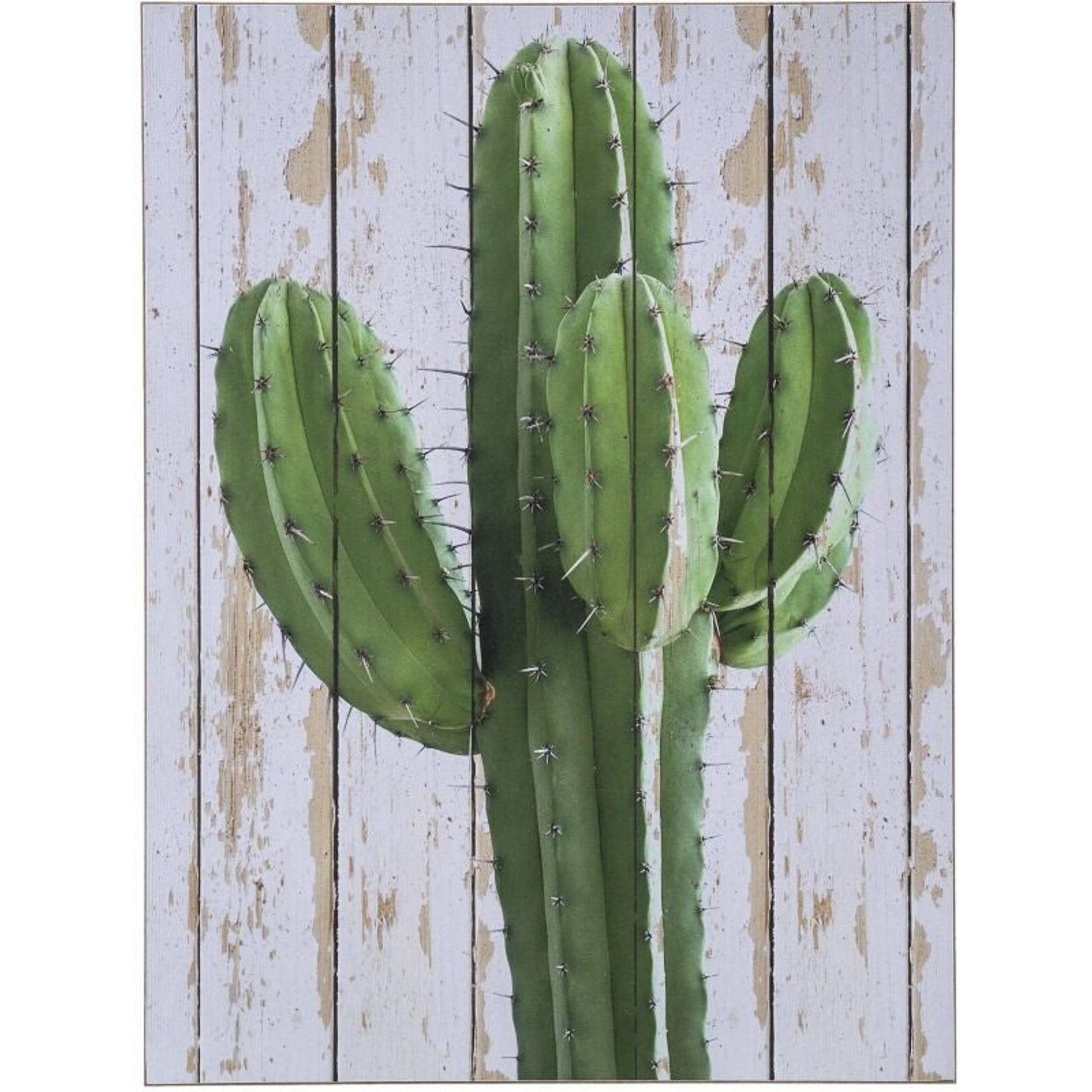Wall Decor Cactus/Planks