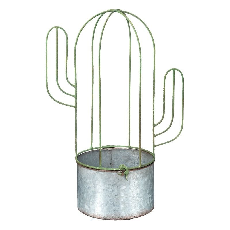 Planter Cactus