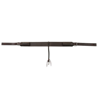 Tucker Rear Cinch Set Black/Brass