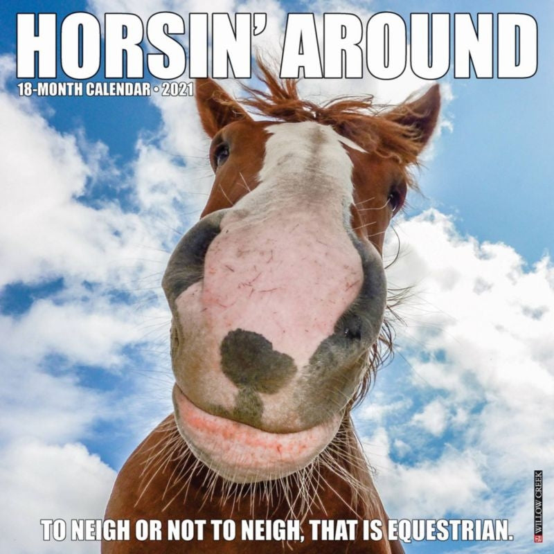 2021 Horsinft Around 18 Month Calendar 12In X 12In