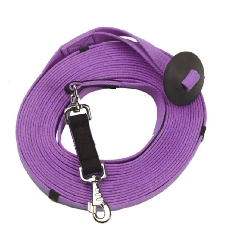 Centaur Cotton Web 35 Lunge Line With Donut