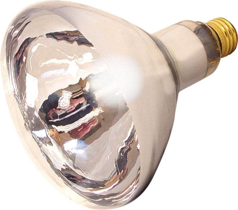 Farm Innovators Heat Lamp Bulb