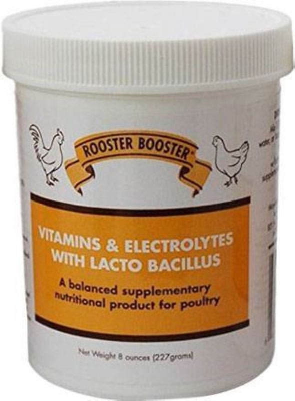 Rooster Booter Vitamins And Electrolytes 8 Oz