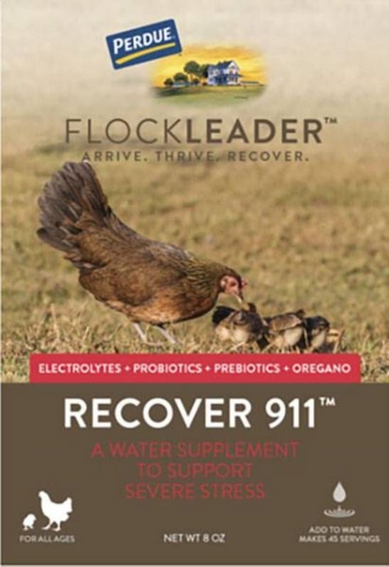 Perdue Flockleader Recover 911 Poultry Powder 8oz