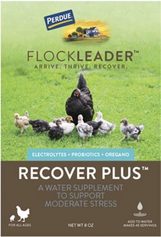 Perdue Flockleader Recover Plus Poultry Powder 8oz