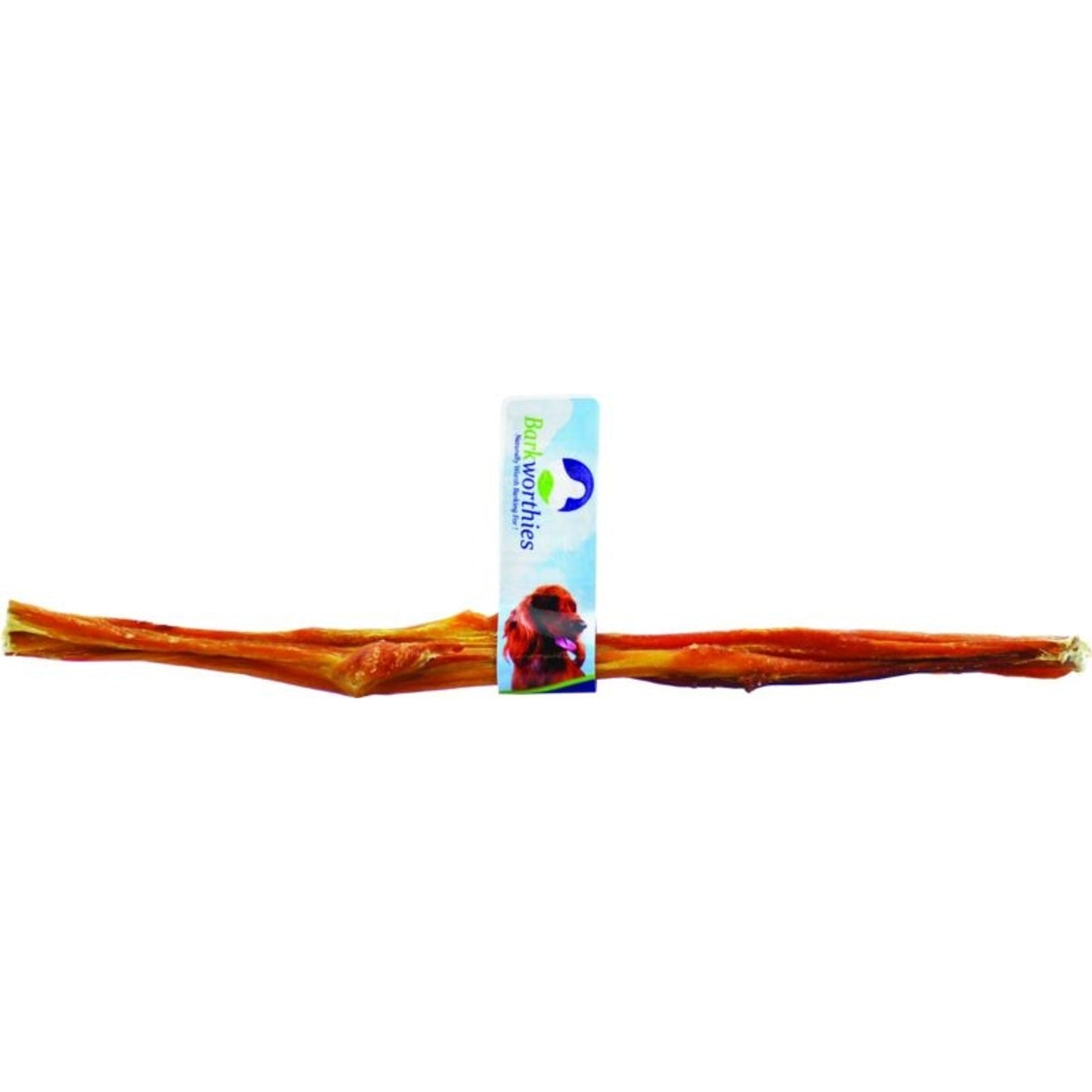 TE056864_951806_01.jpg