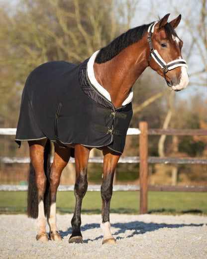 QHP Menton Show Rug