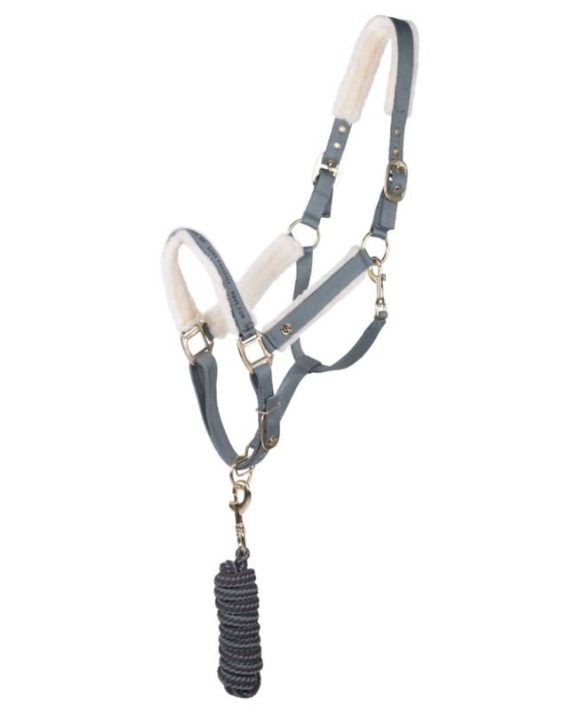 QHP Equestrian Dream Head Collar Set