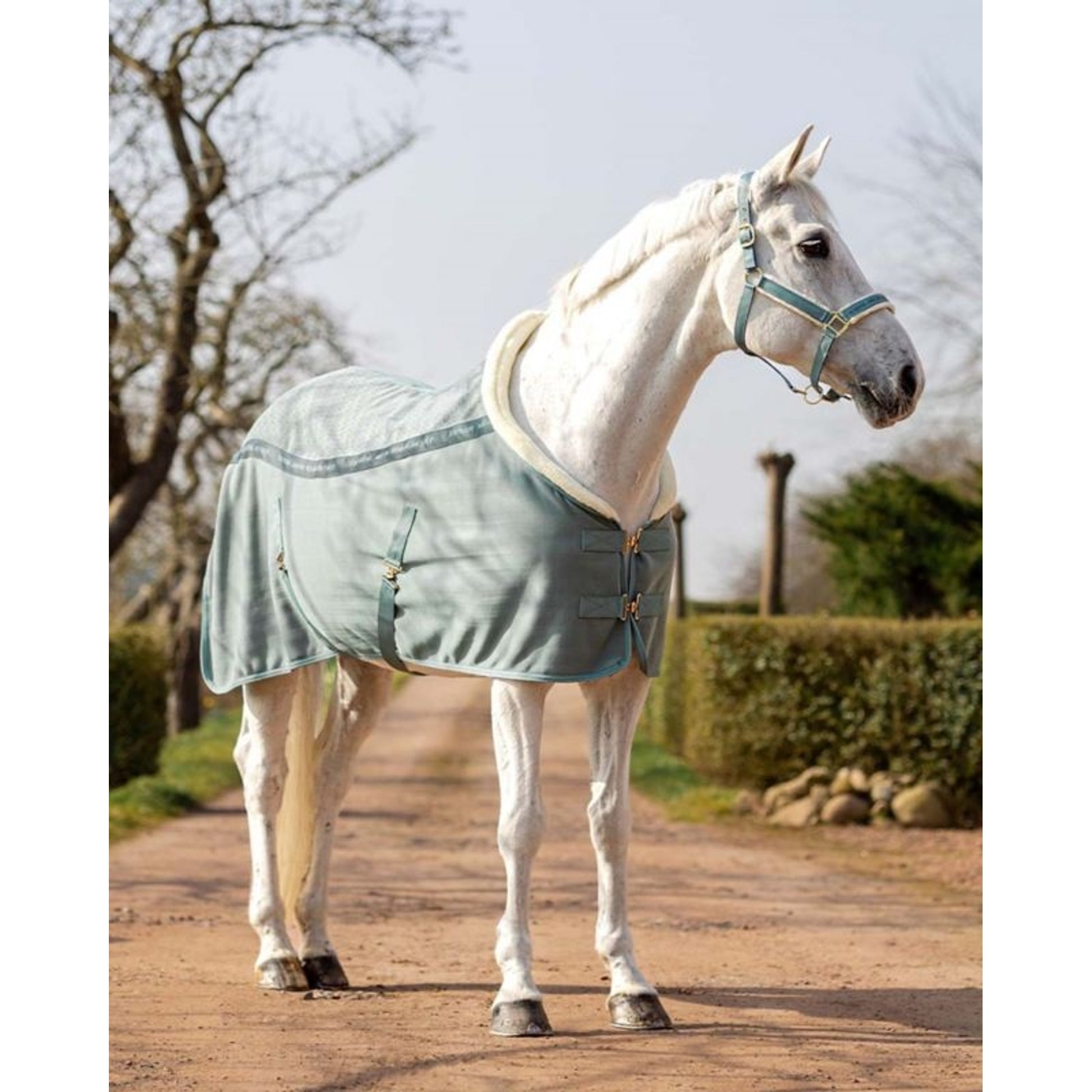 QHP Equestrian Dream Show Rug
