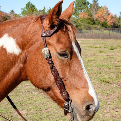 Circle Y Great Oak One Ear Headstall
