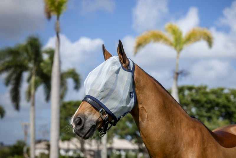 Horseware Newmarket Fly Mask