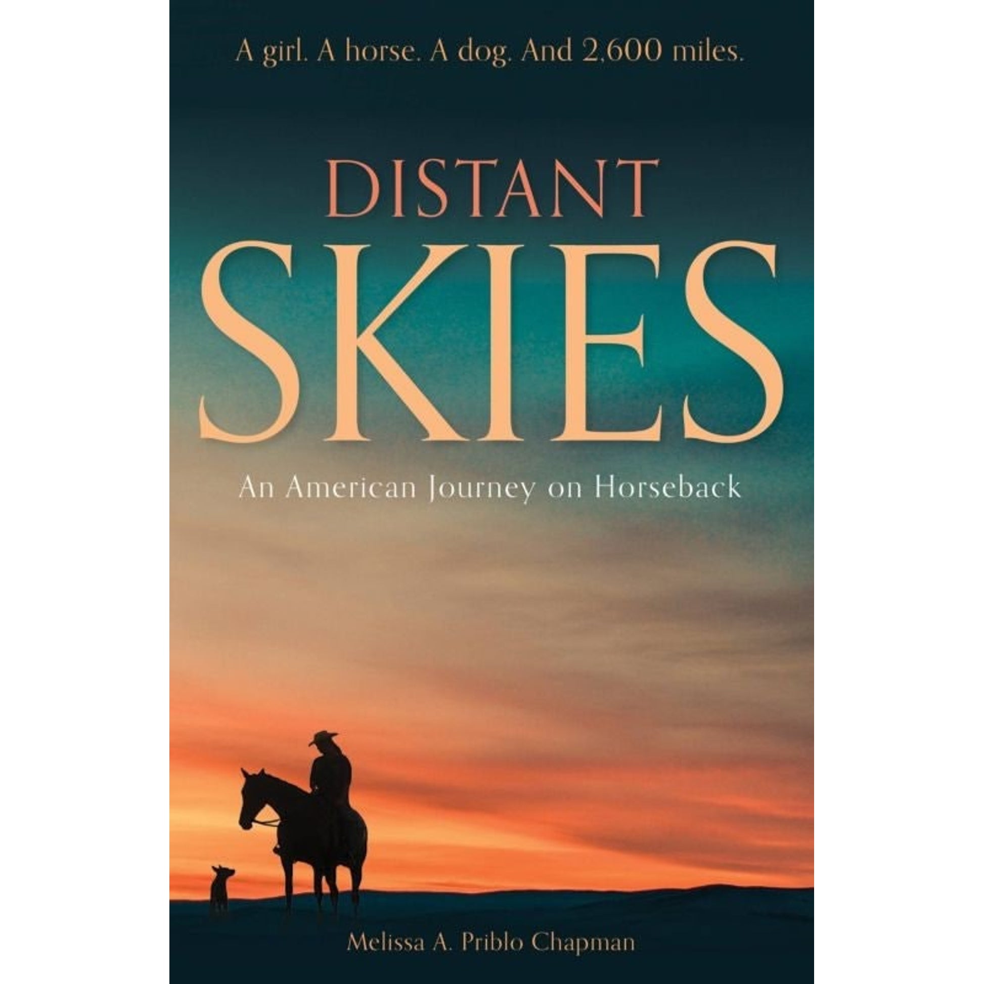 Distant Skies 368 Pages