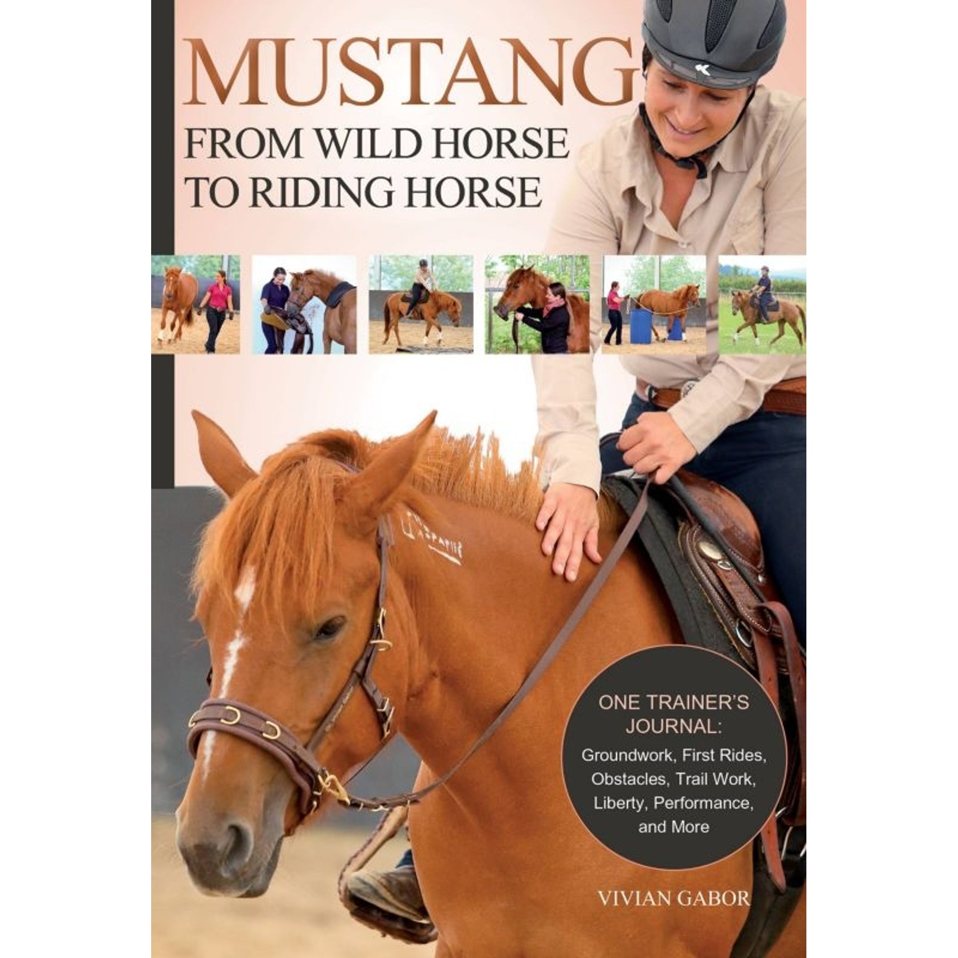 Mustang From Wild Horse to Riding Horse 160 Pages