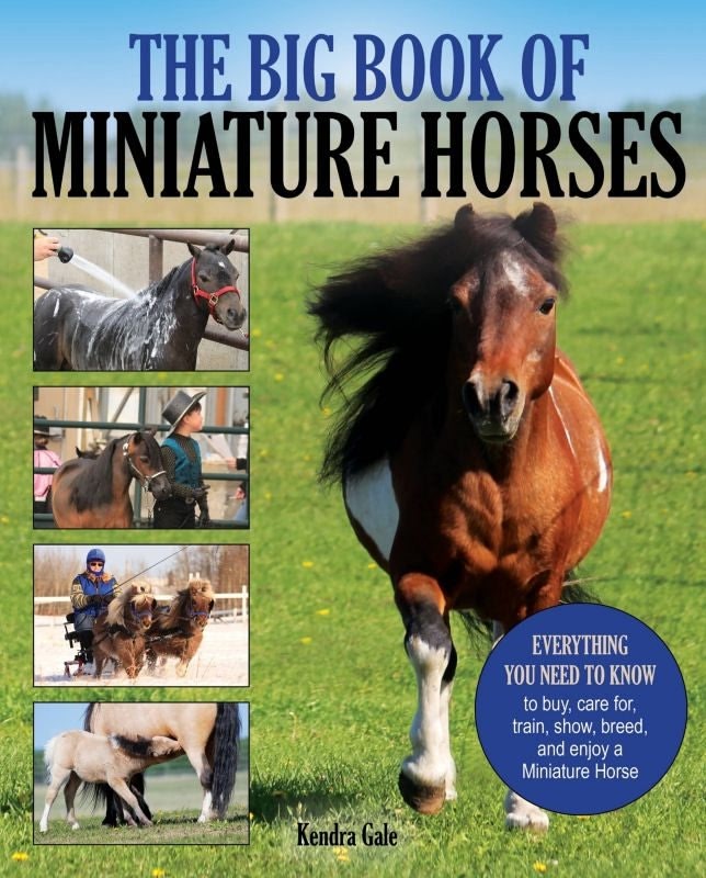 The Big Book of Miniature Horses 224 Pages
