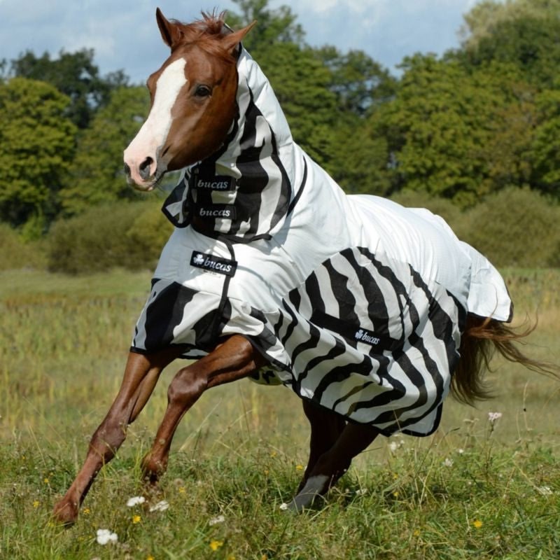 Bucas Buzz Off Zebra Full Neck Rain Sheet