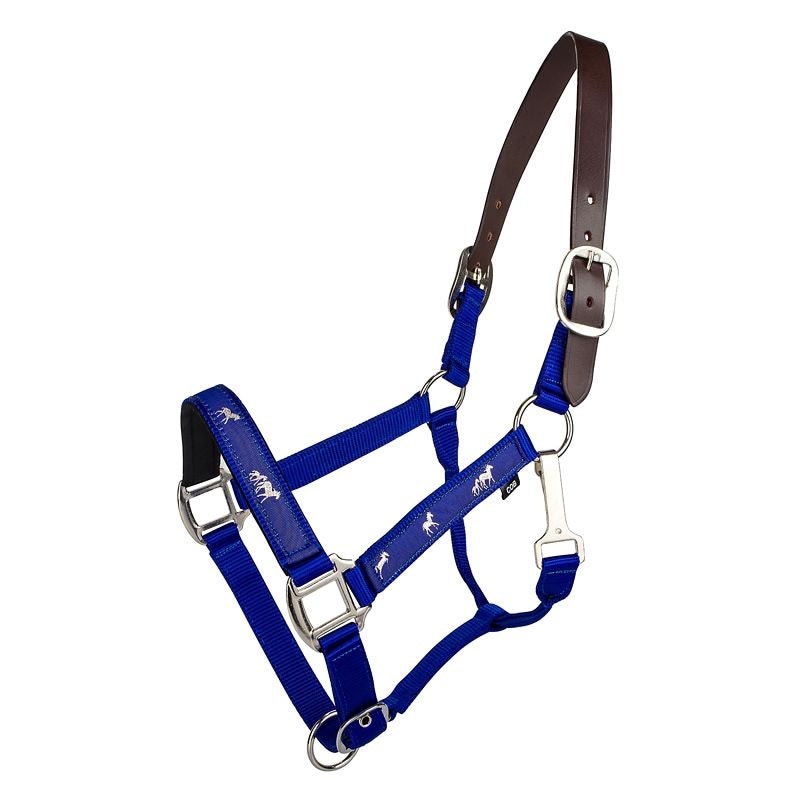 Licol De Cheval En Nylon Entièrement Réglable Sur Mesure En Plusieurs Couleurs A Licol De Cheval En Nylon Entièrement Réglable Sur Mesure En Plusieurs Couleurs A